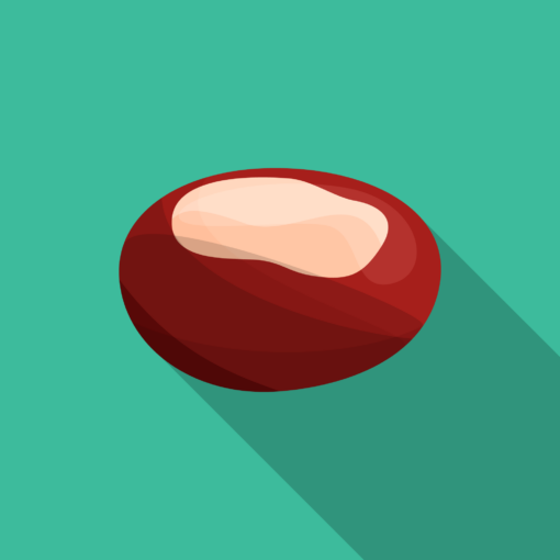 jason-b-graham-chestnut-icon-3dbb9c