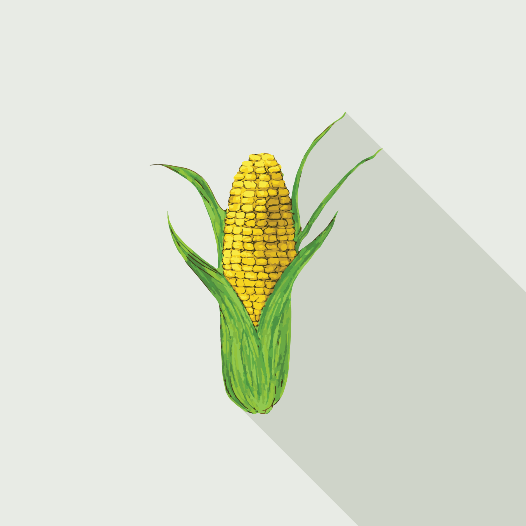 jason-b-graham-corn-icon-e7e9e3