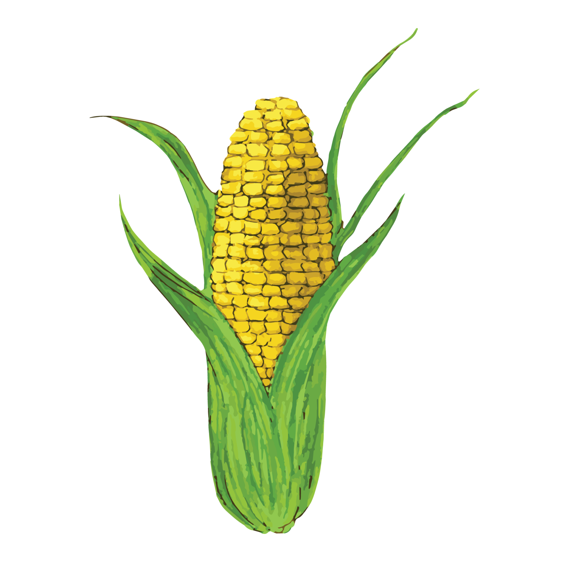 jason-b-graham-corn-icon-e7e9e3-download