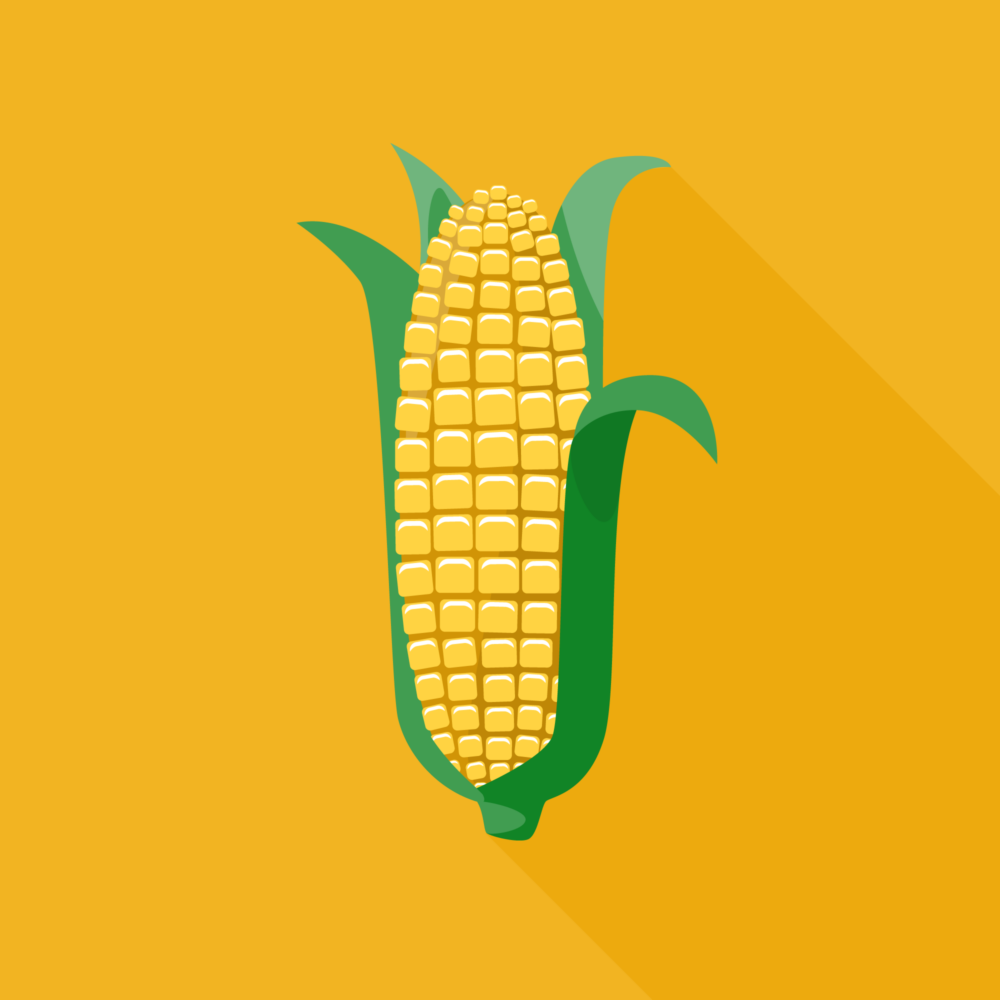 jason-b-graham-corn-icon-f2b523-featured-image