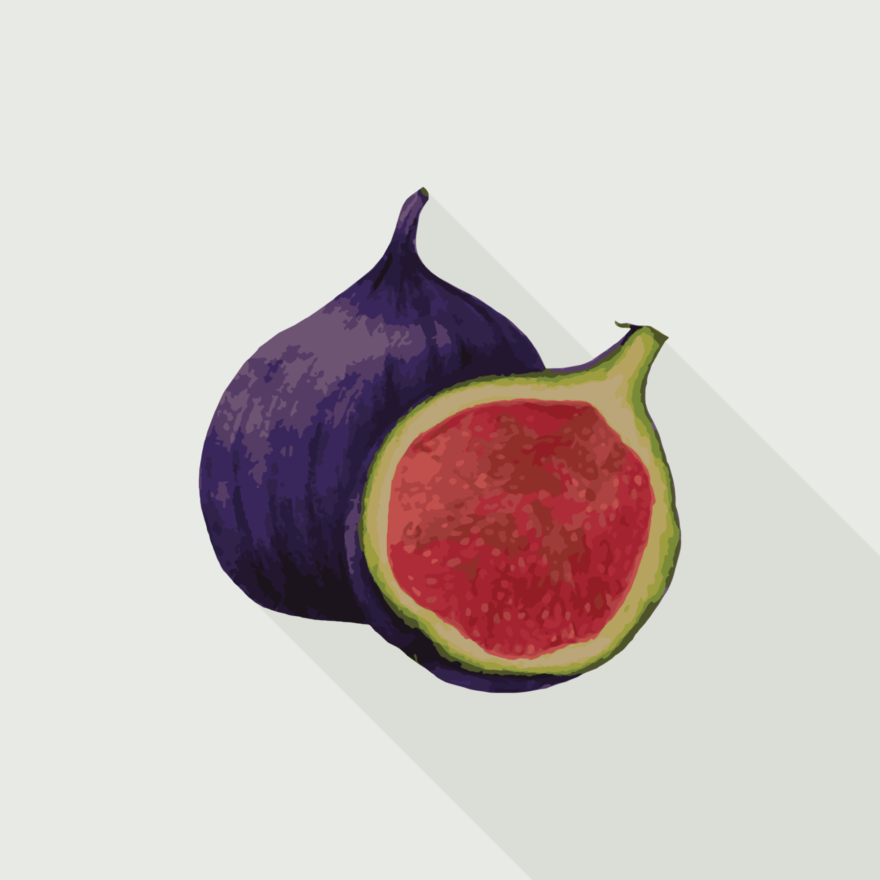 Free Fig Icon 70 x 70 cm - Image 2