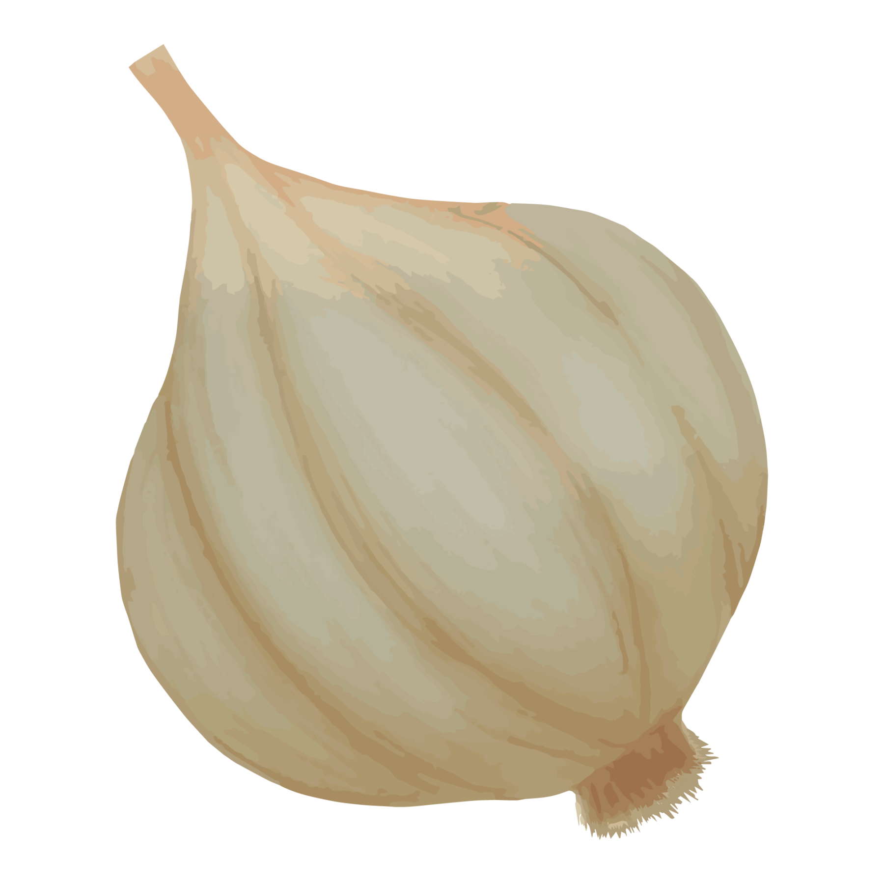 jason-b-graham-garlic-icon-264c57-free-download