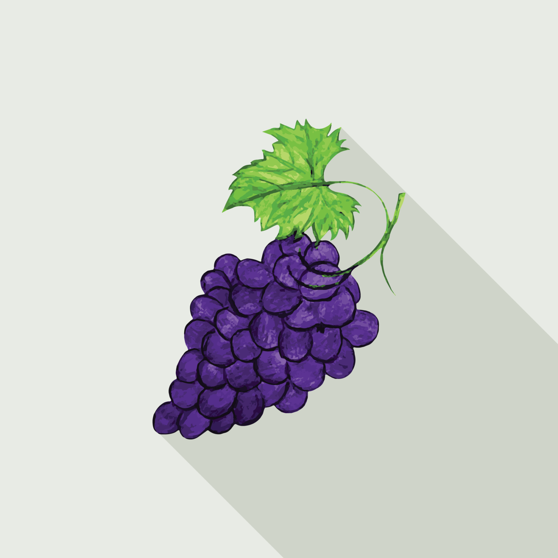 jason-b-graham-grape-icon-e7e9e3-featured-image