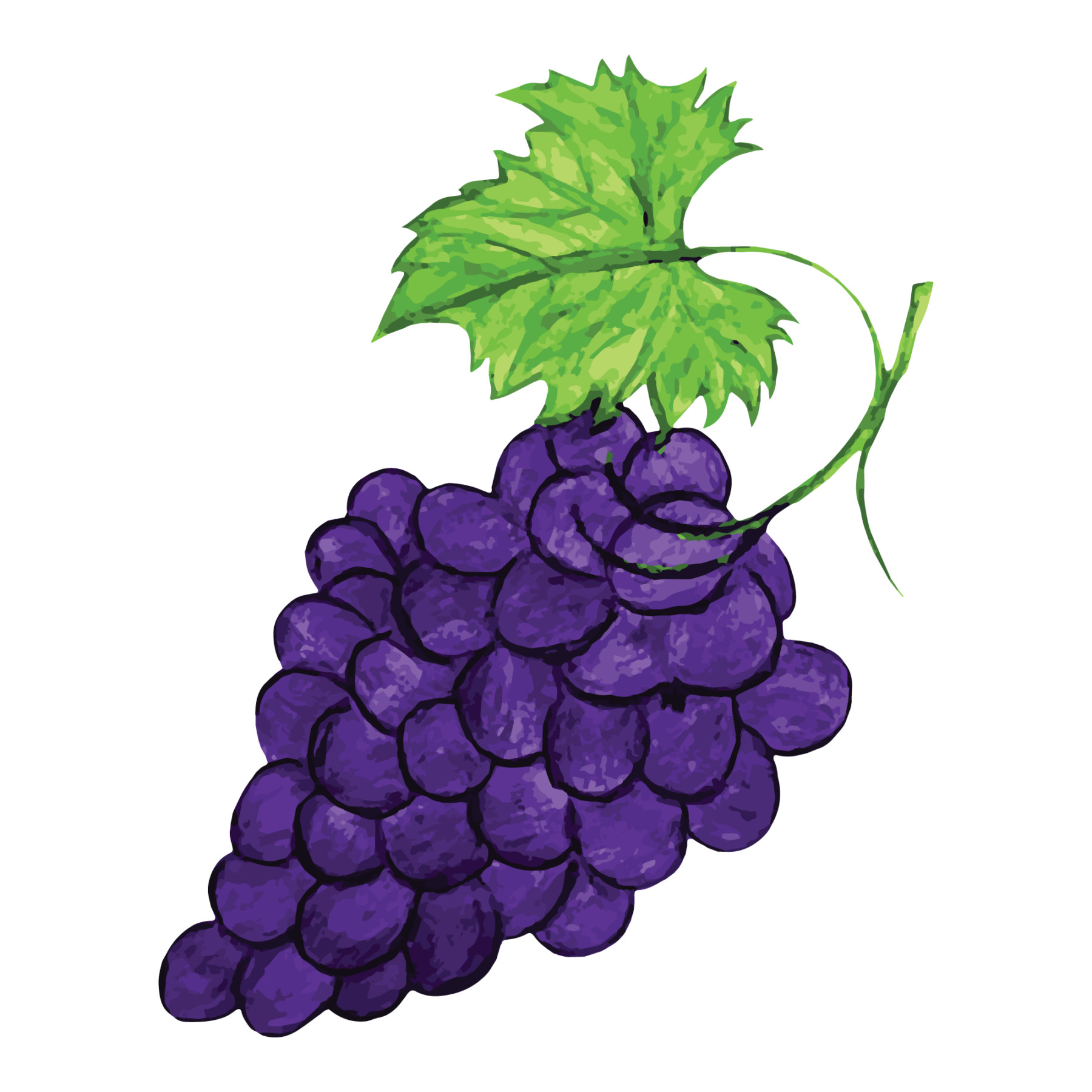 jason-b-graham-grape-icon-e7e9e3-free-download