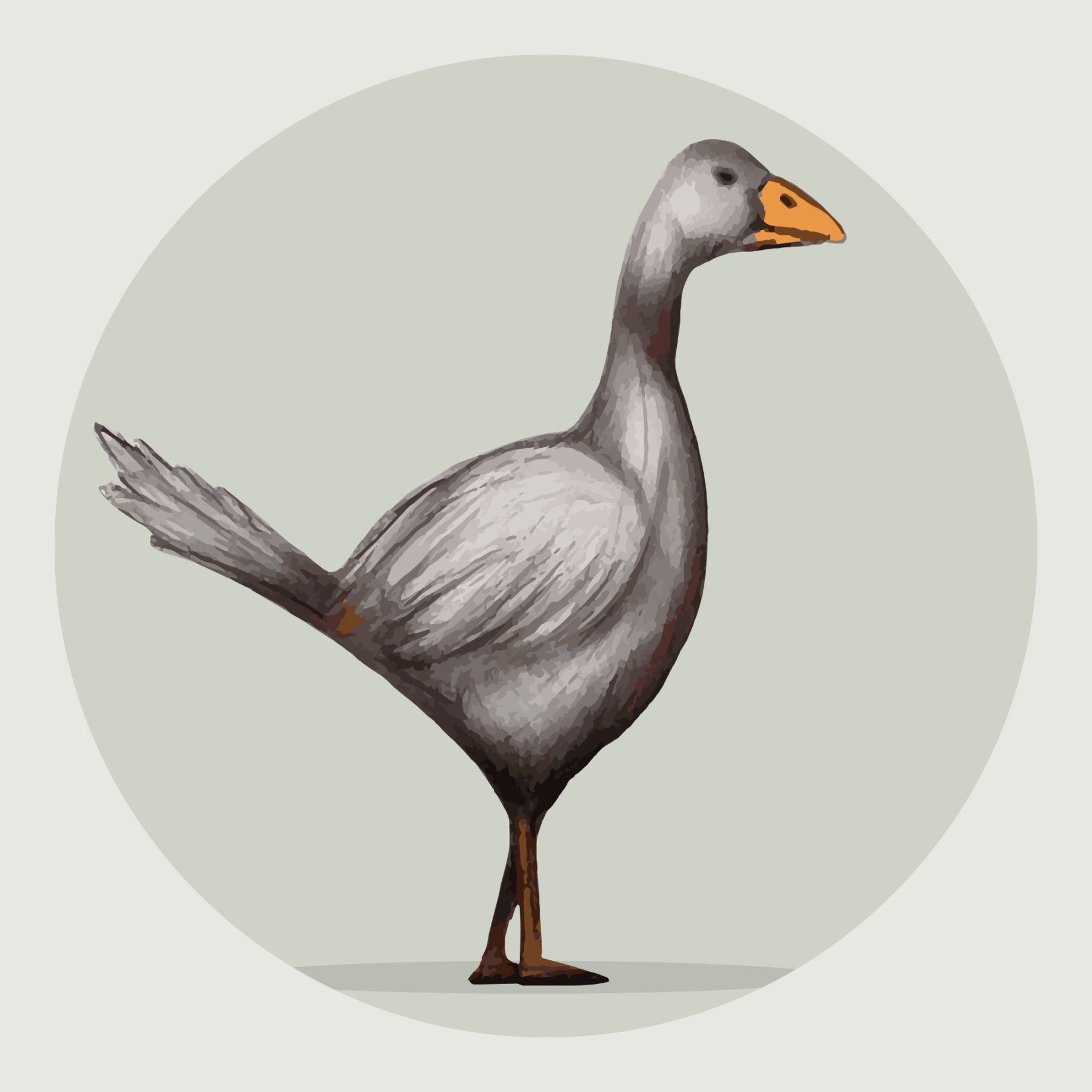 Free Kars Goose Icon 70 x 70 cm