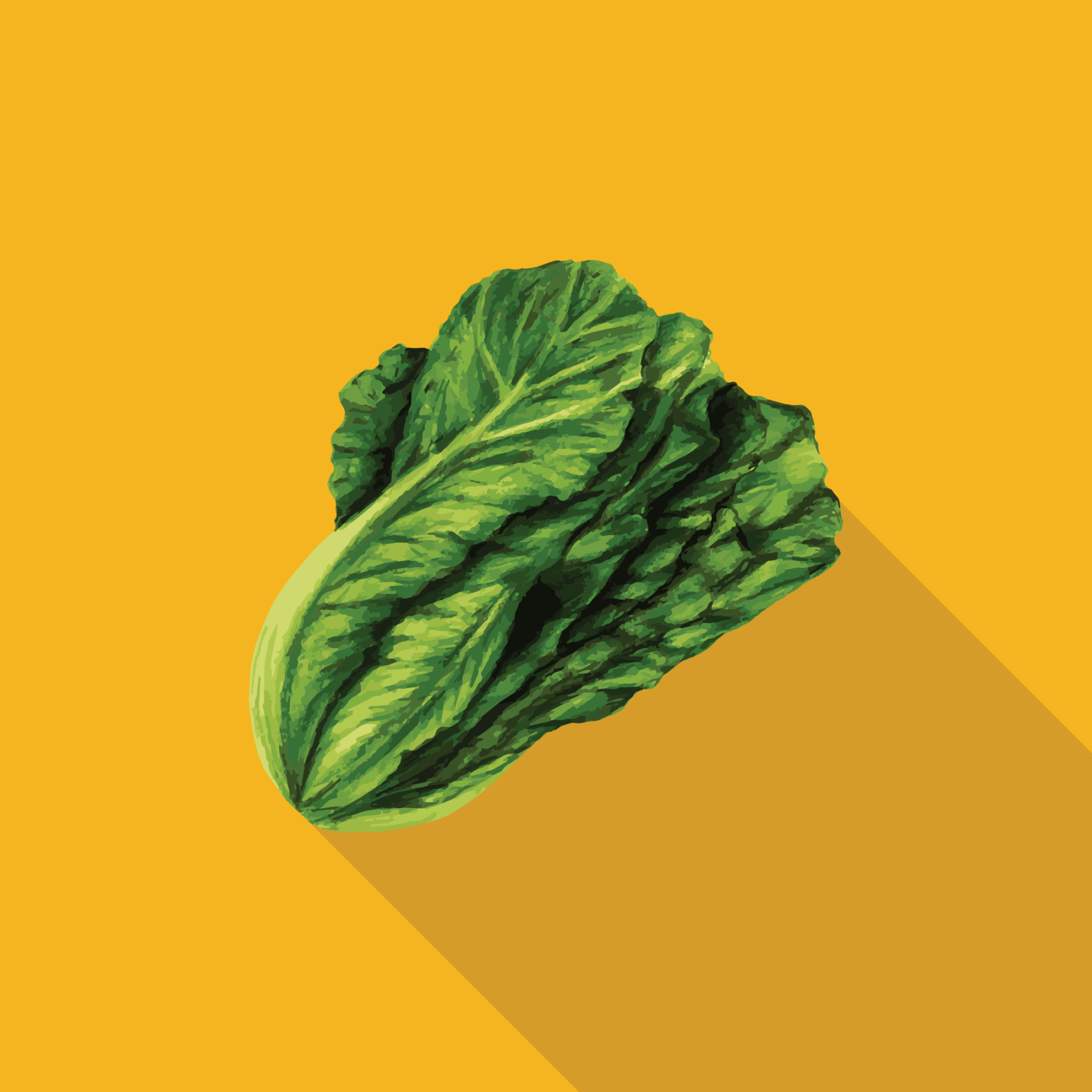 jason-b-graham-lettuce-icon-f2b523-featured-image