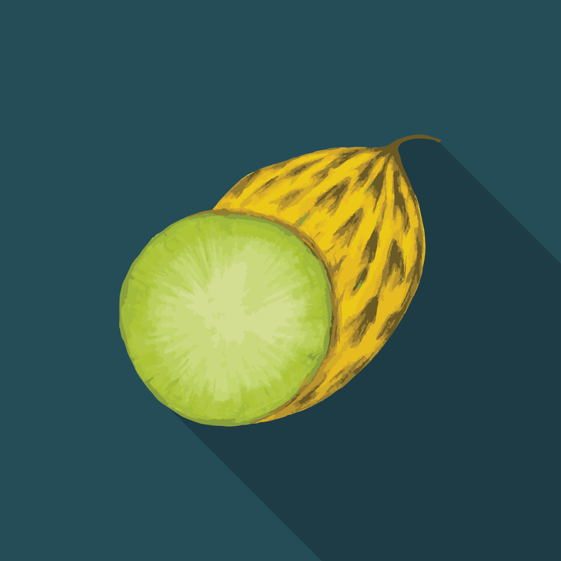 jason-b-graham-melon-icon-264c57-featured-image