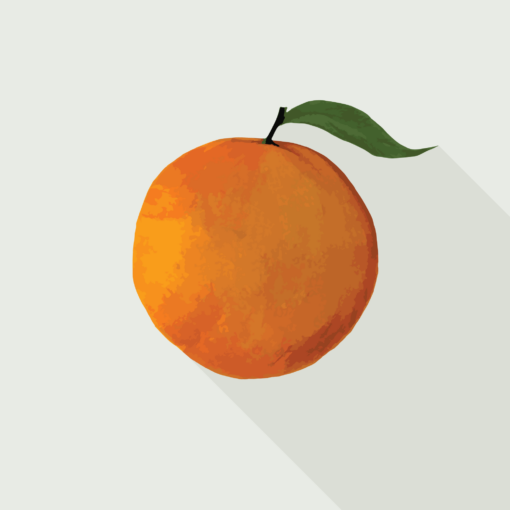 jason-b-graham-orange-icon-e7e9e3-featured-image