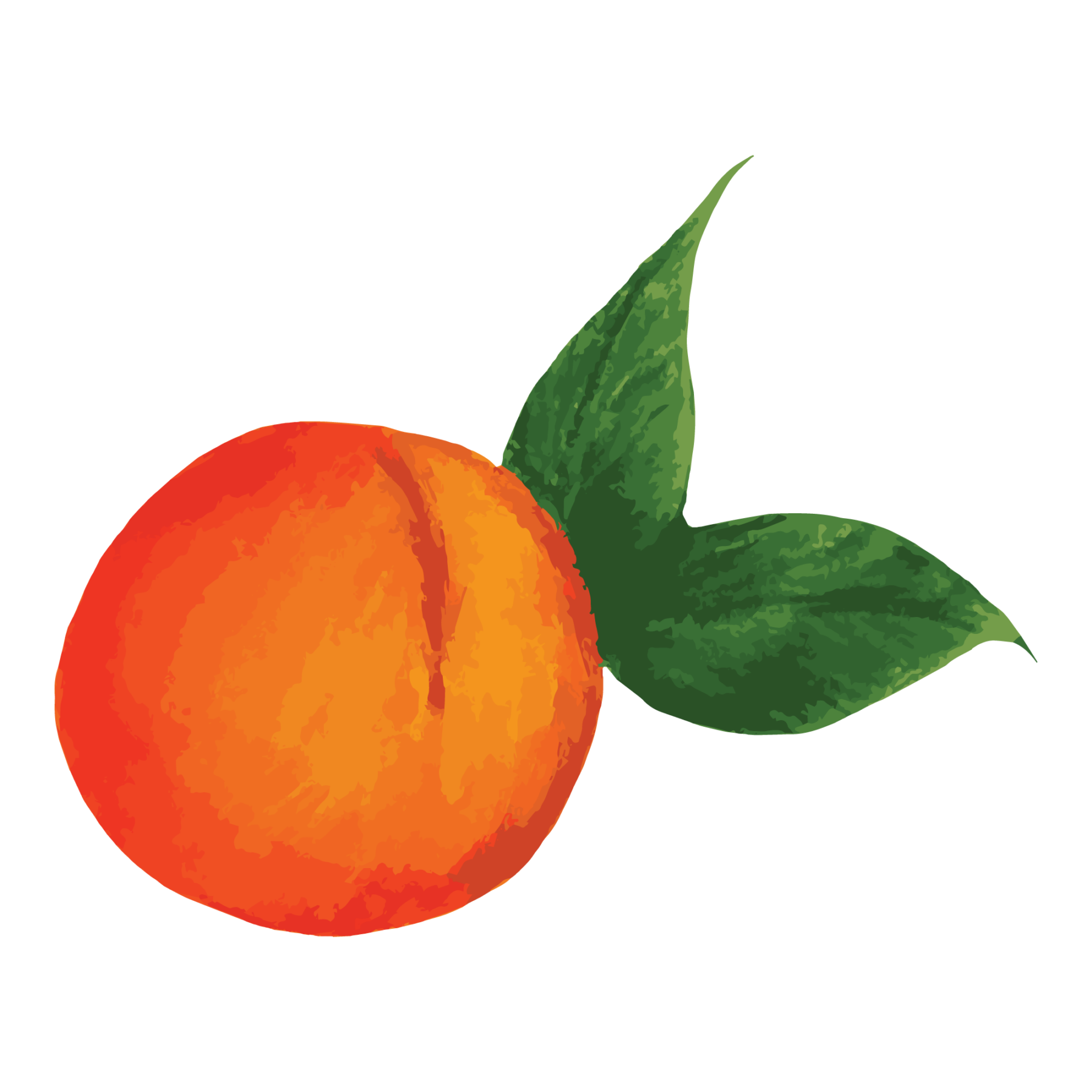 jason-b-graham-peach-icon-3dbb9c-free-download