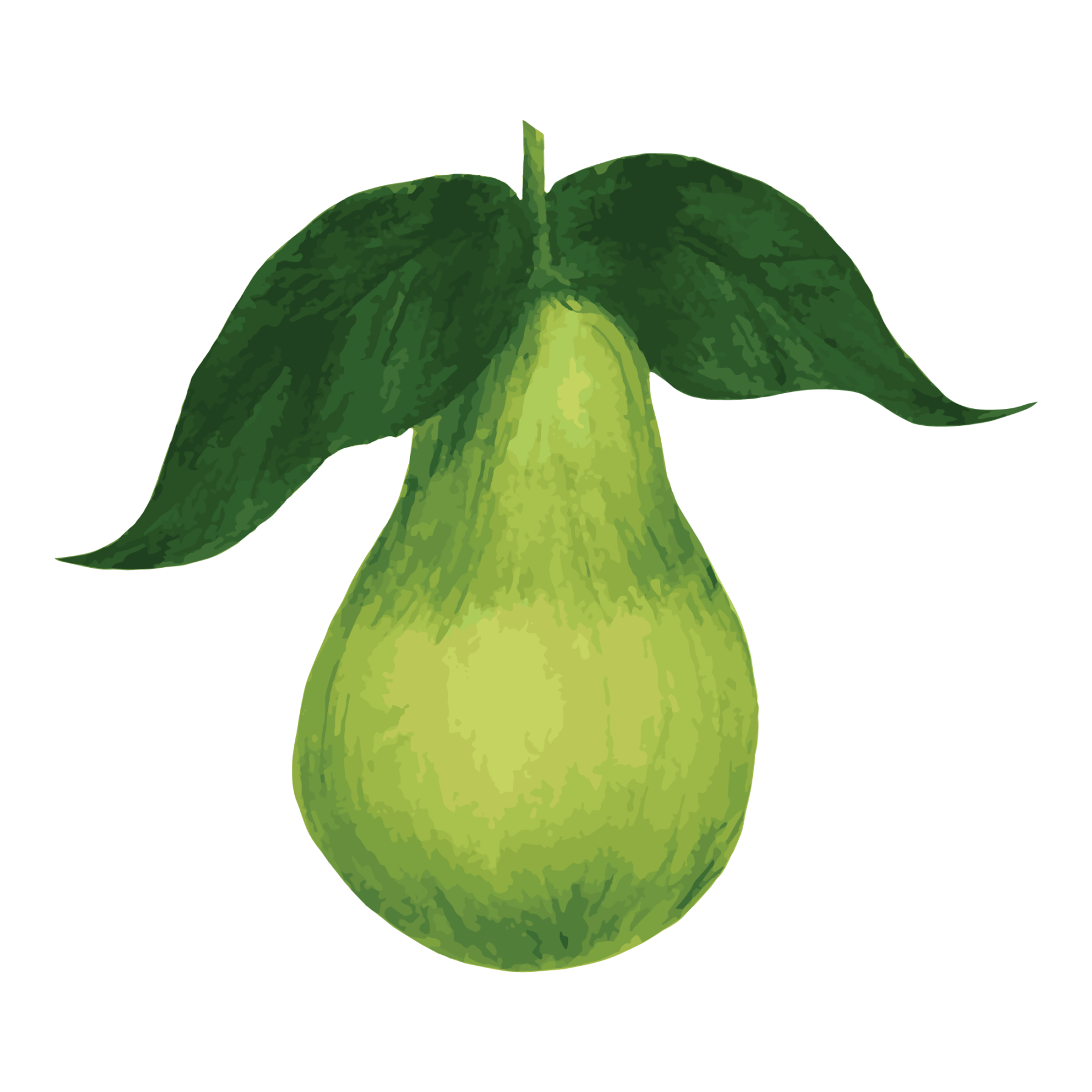 jason-b-graham-pear-icon-e7e9e3-free-download