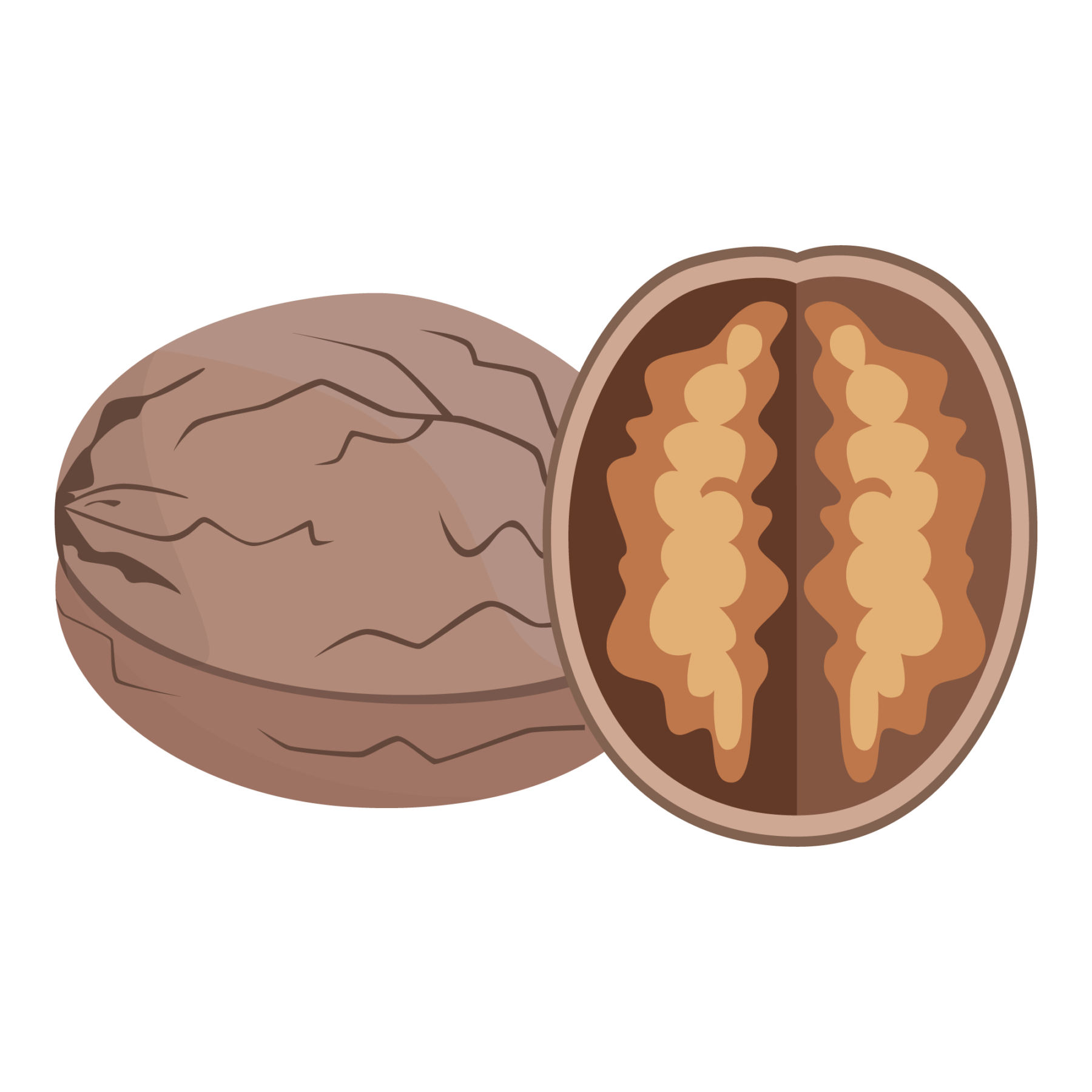 jason-b-graham-walnut-icon-3dbb9c-free-download