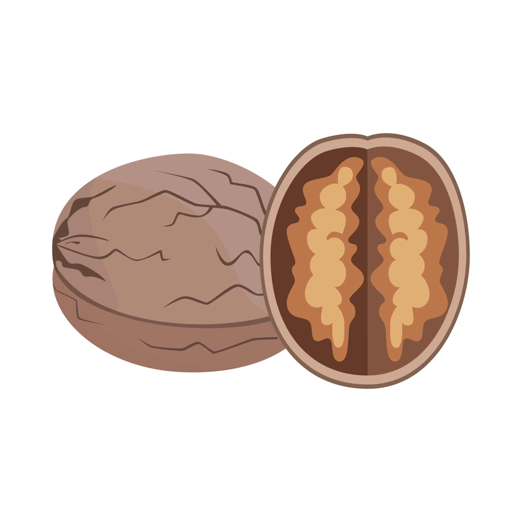 walnut-icon