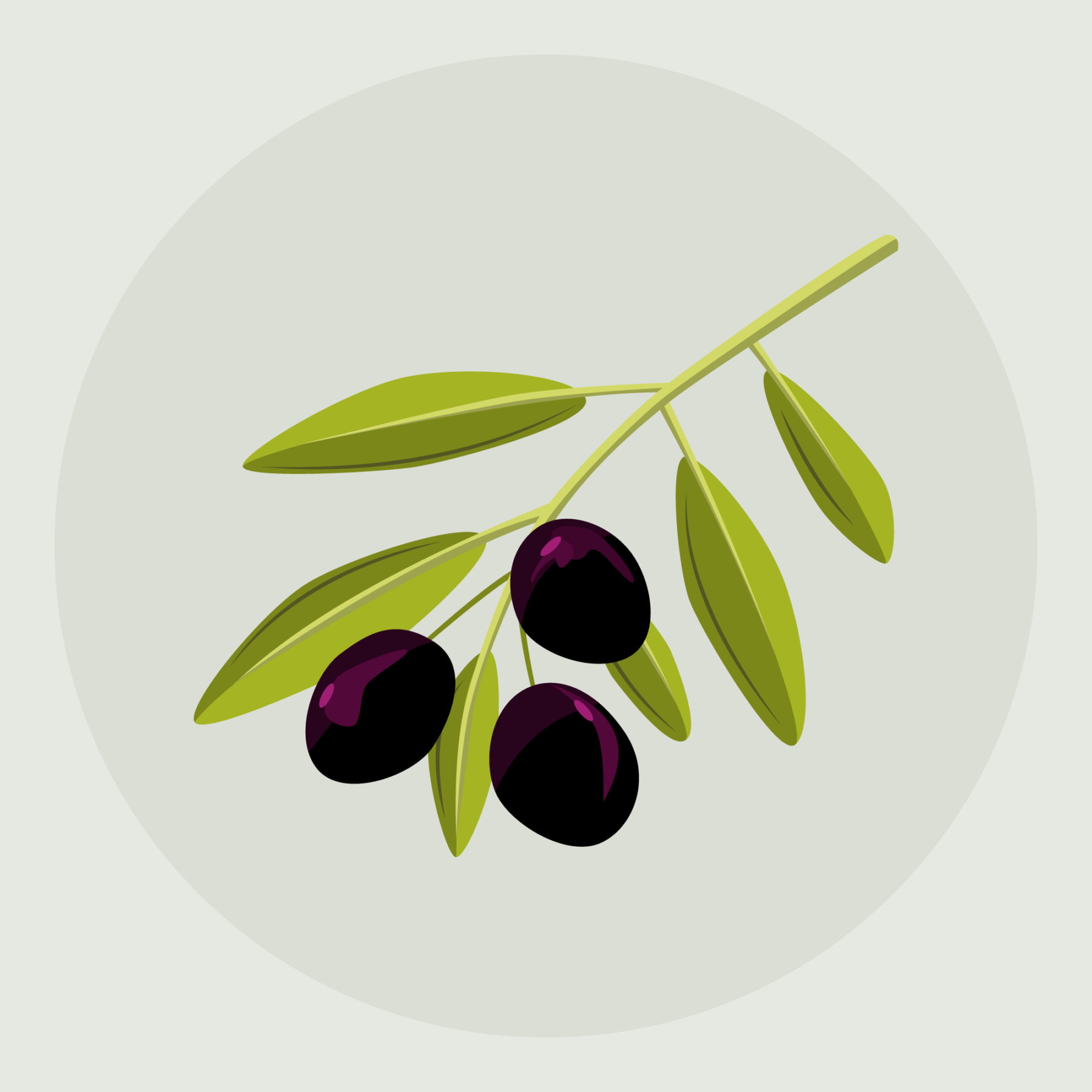 jason-b-graham-olive-icon-e7e9e3-featured-image