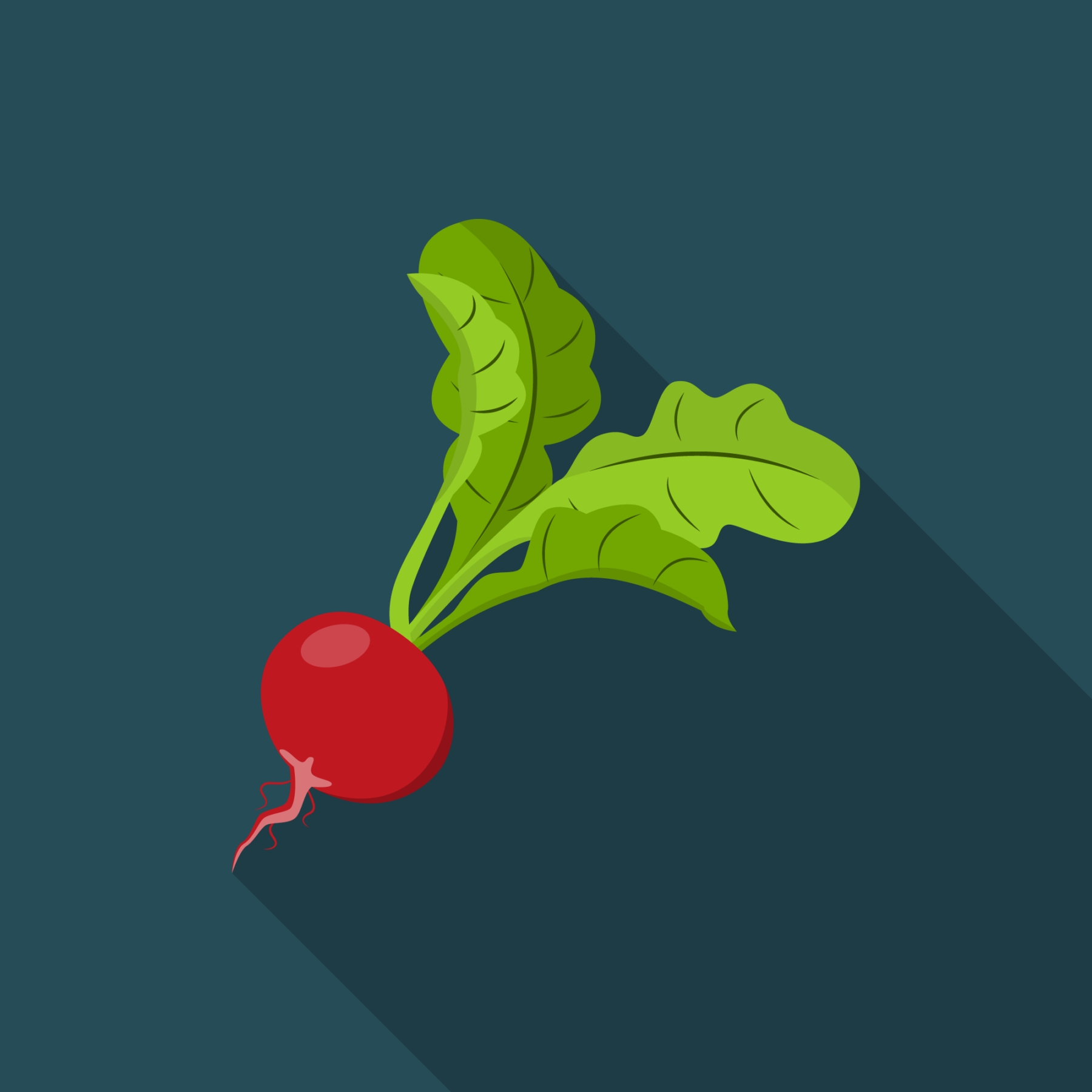 jason-b-graham-radish-icon-264c57-featured-image