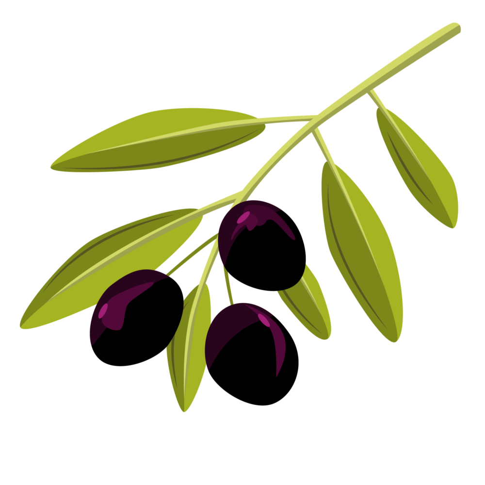 vector-olive