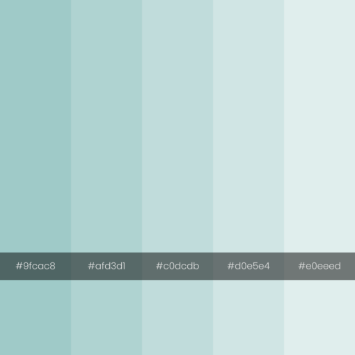 color-palette-2000-2000-babylogy-monochrome