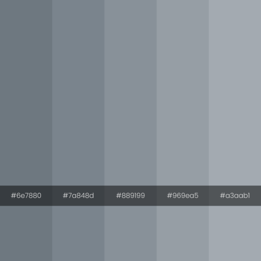 color-palette-2000-2000-bims-monochrome