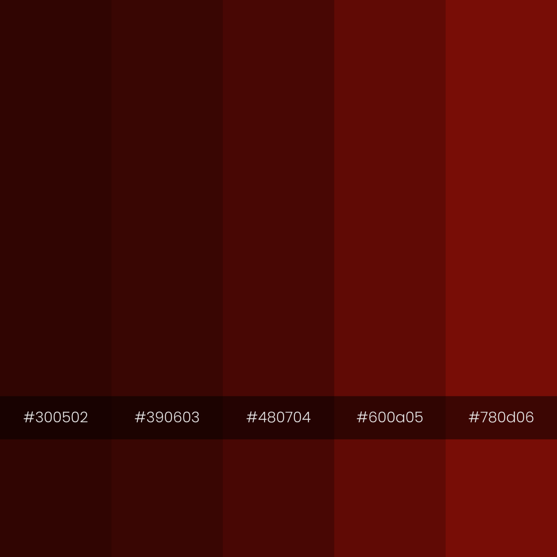 color-palette-date-monochrome-2000-2000