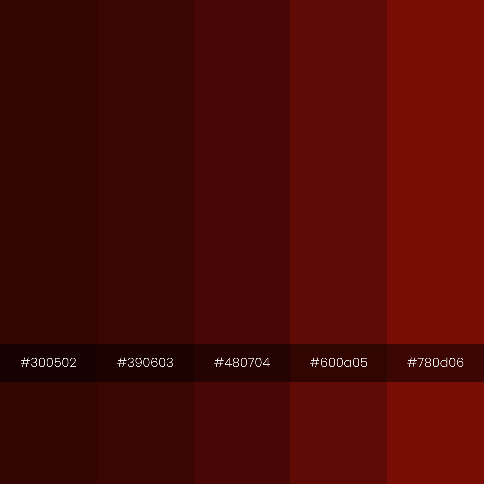 color-palette-date-monochrome-2000-2000