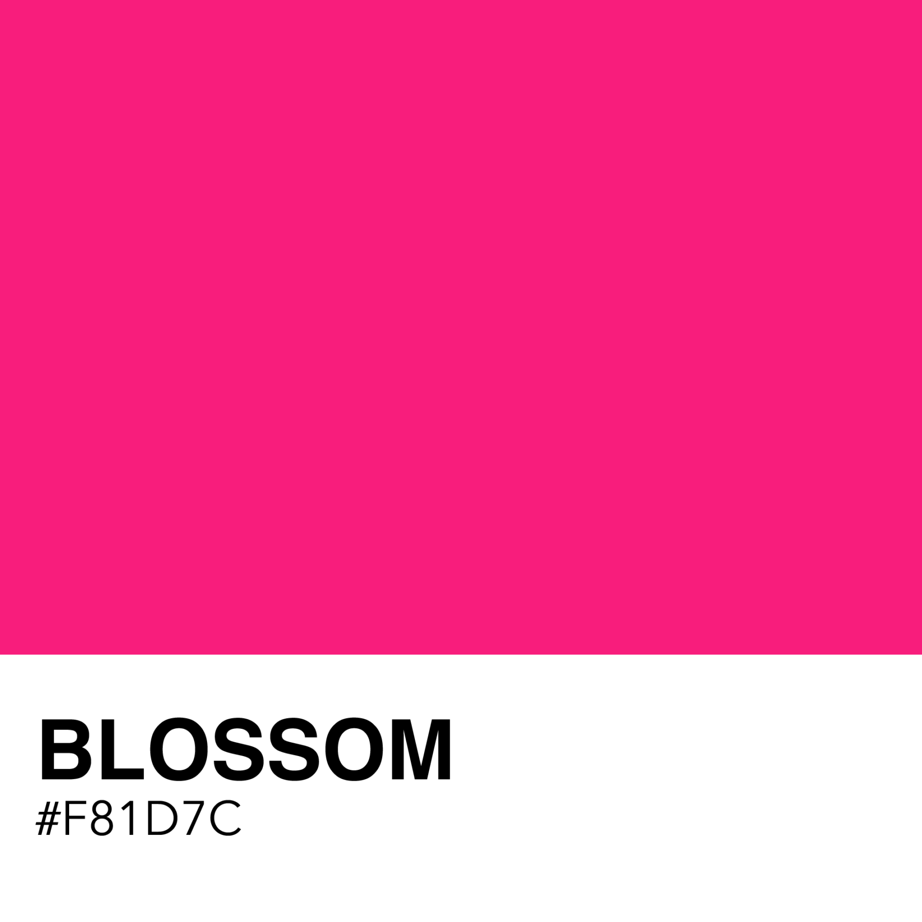 color-swatch-f81d7c