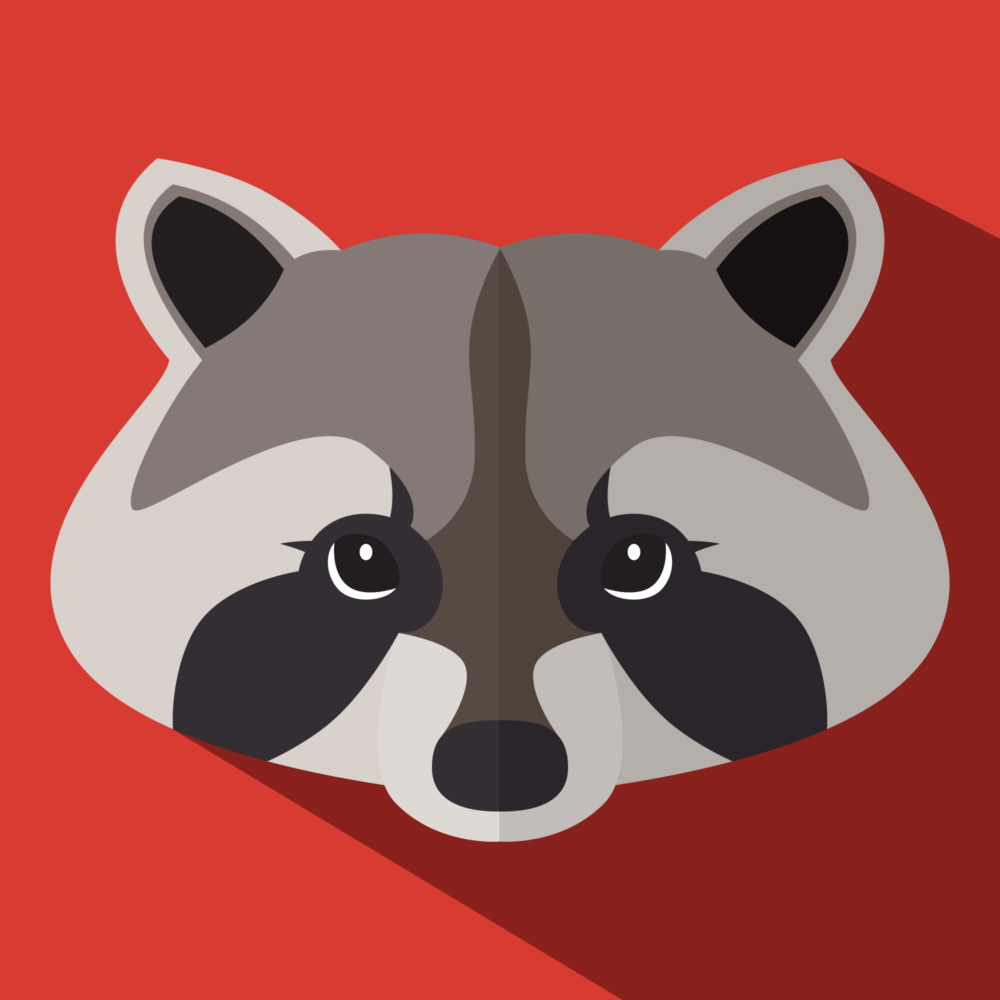 jason-b-graham-raccoon-icon-d53c31-featured-image