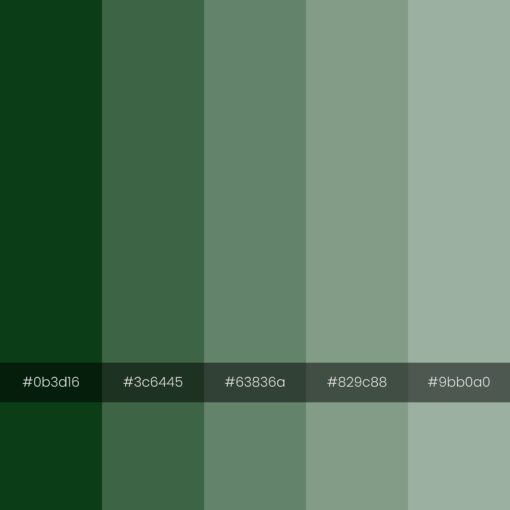 color-palette-envy-monochrome