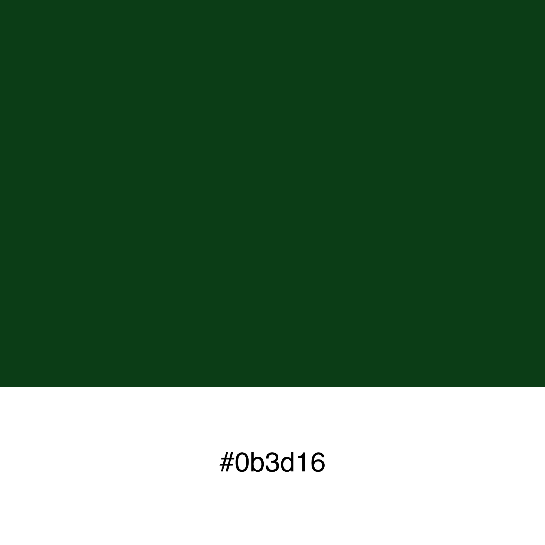 color-swatch-0b3d16