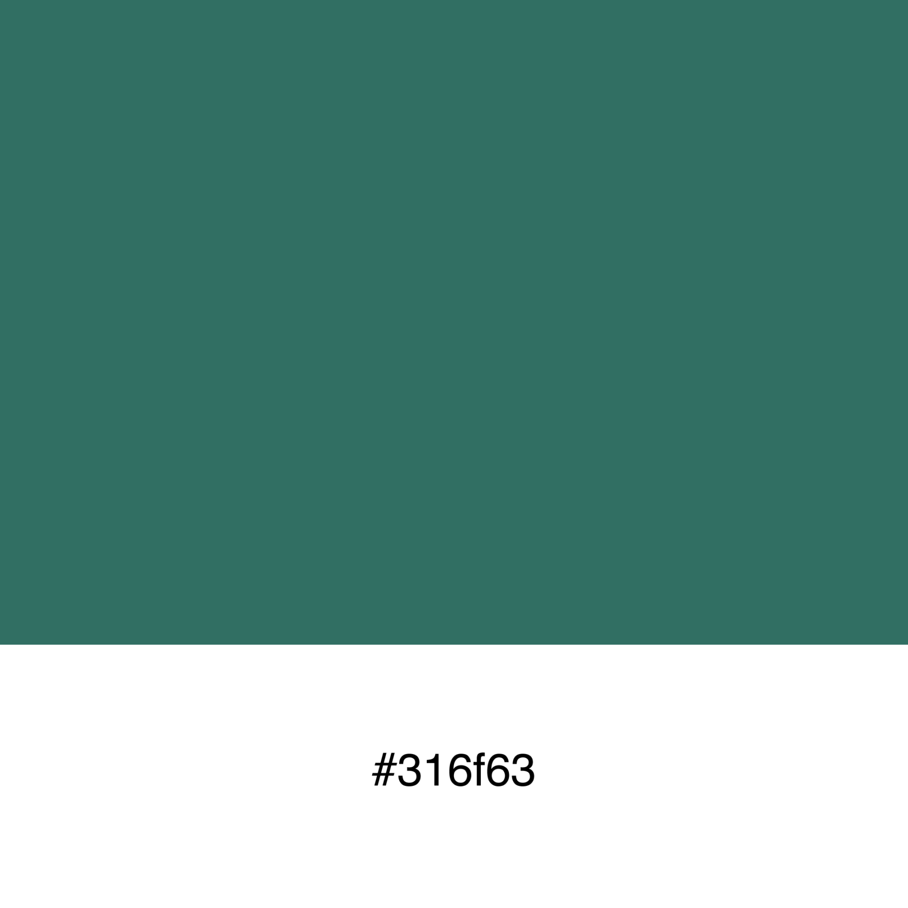 color-swatch-316f63