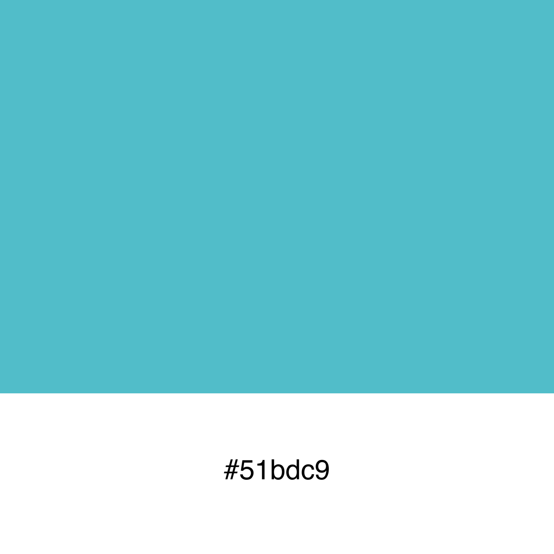 color-swatch-51bdc9