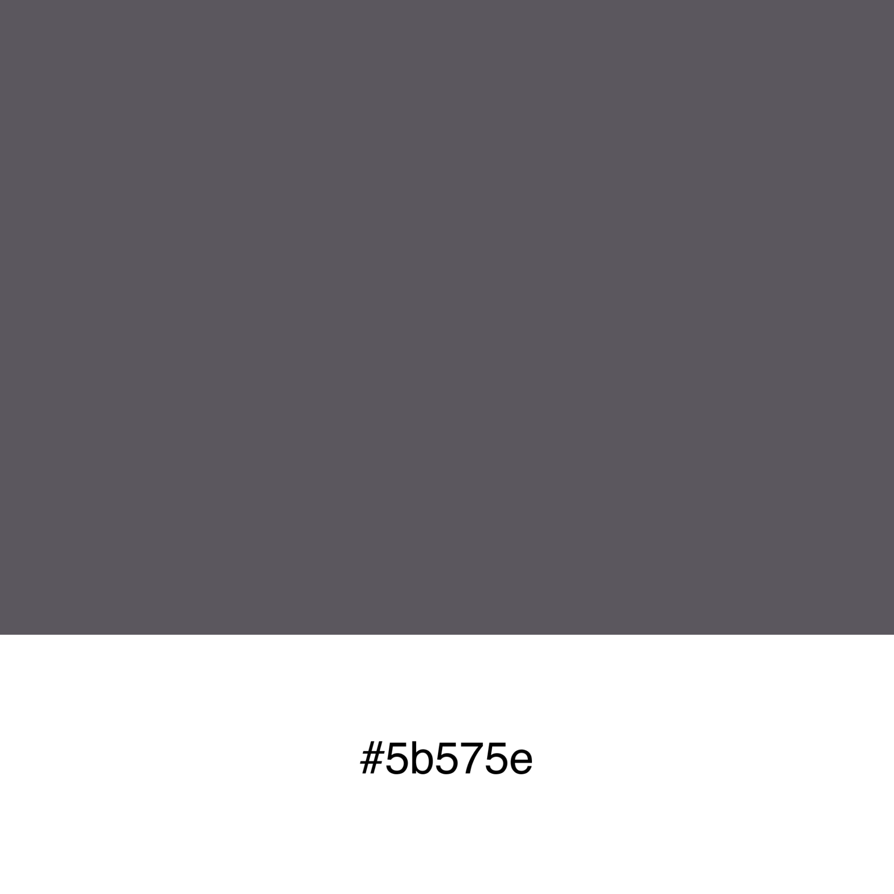 color-swatch-5b575e