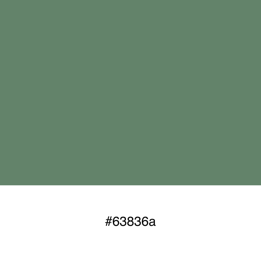 color-swatch-63836a