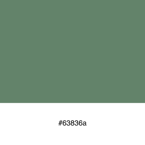 color-swatch-63836a
