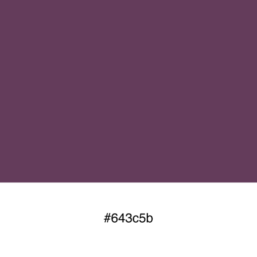 color-swatch-643c5b