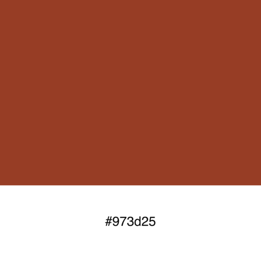 color-swatch-973d25
