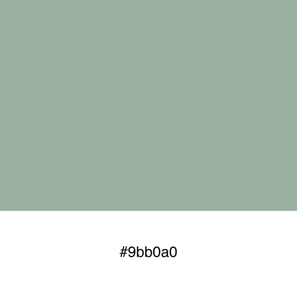 color-swatch-9bb0a0