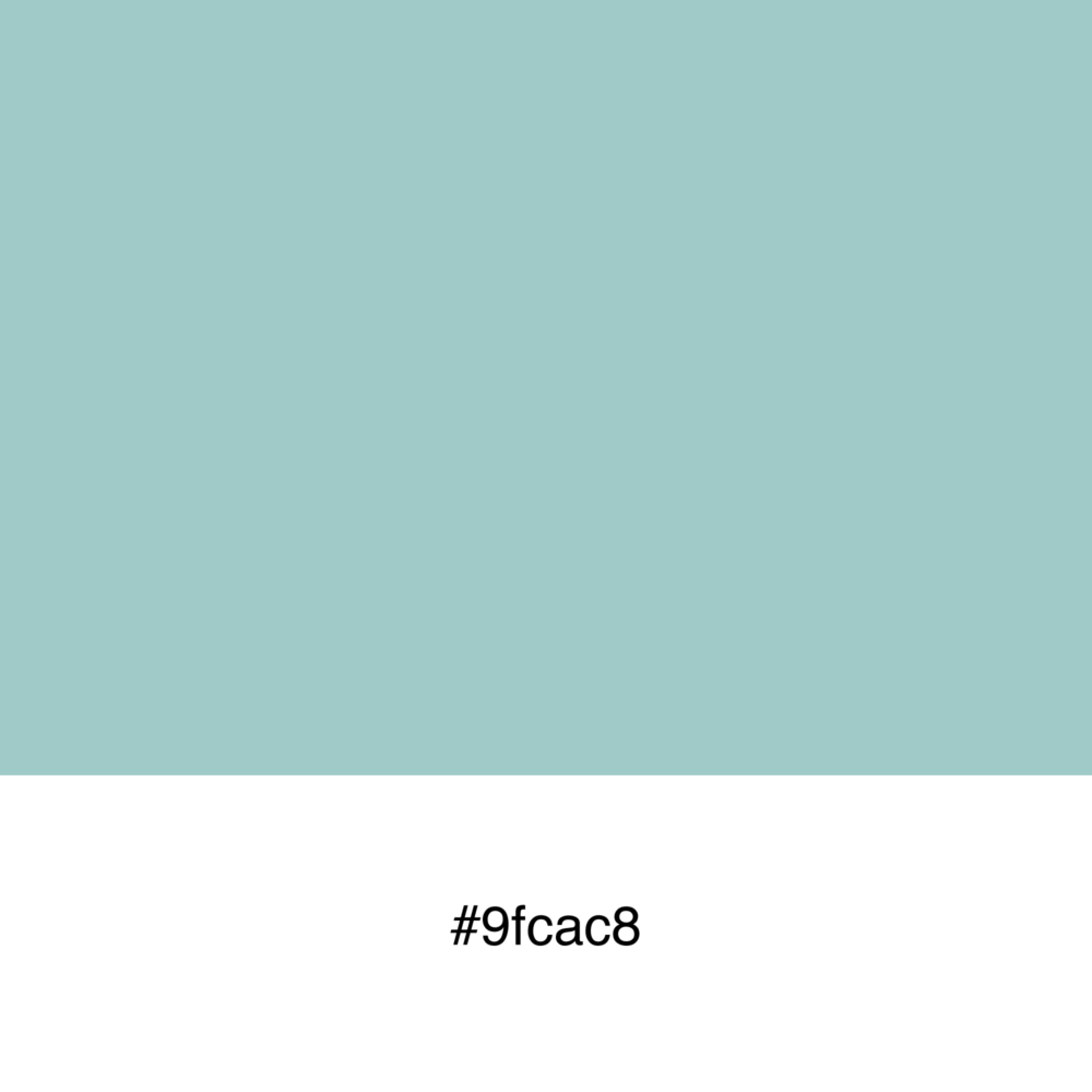 color-swatch-9fcac8