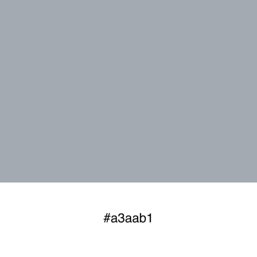 color-swatch-a3aab1