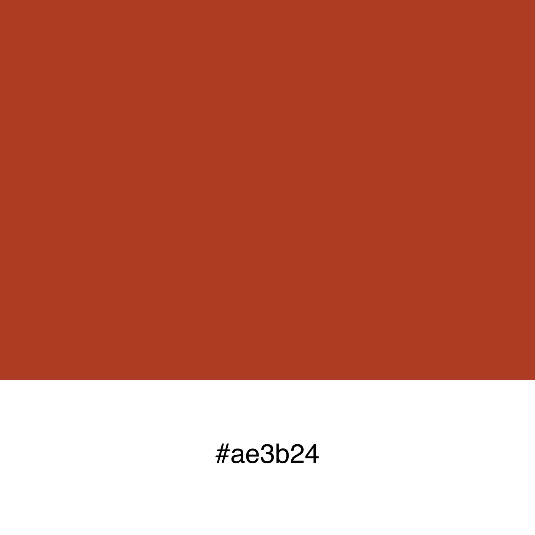 color-swatch-ae3b24