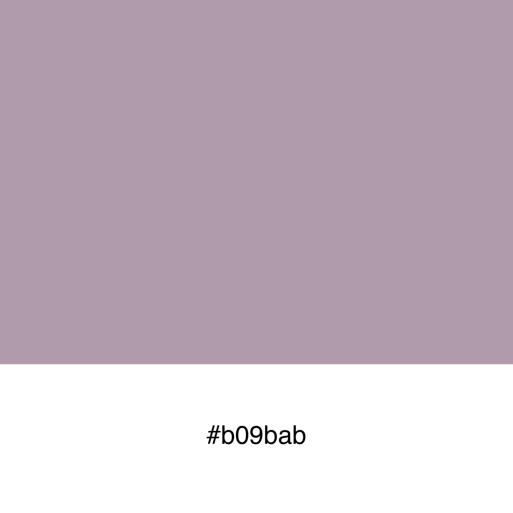 color-swatch-b09bab