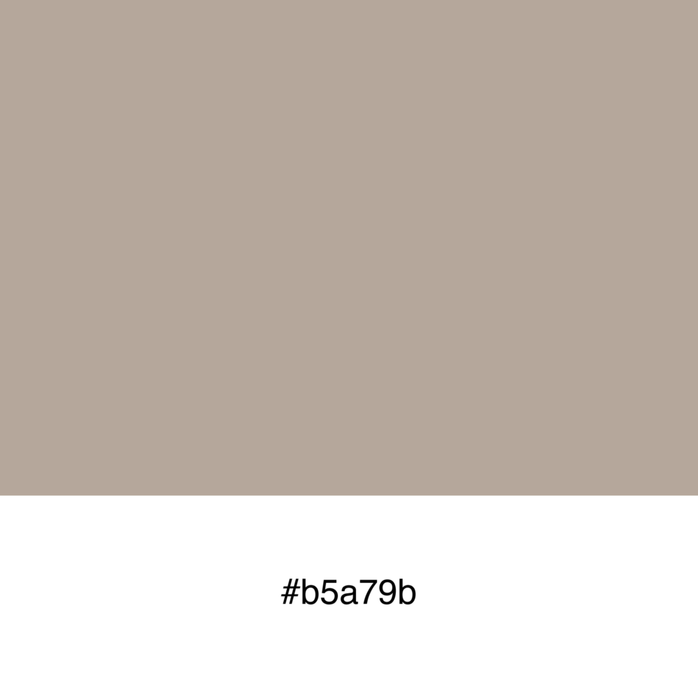 color-swatch-b5a79b