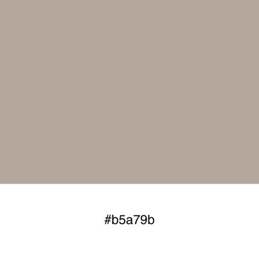 color-swatch-b5a79b