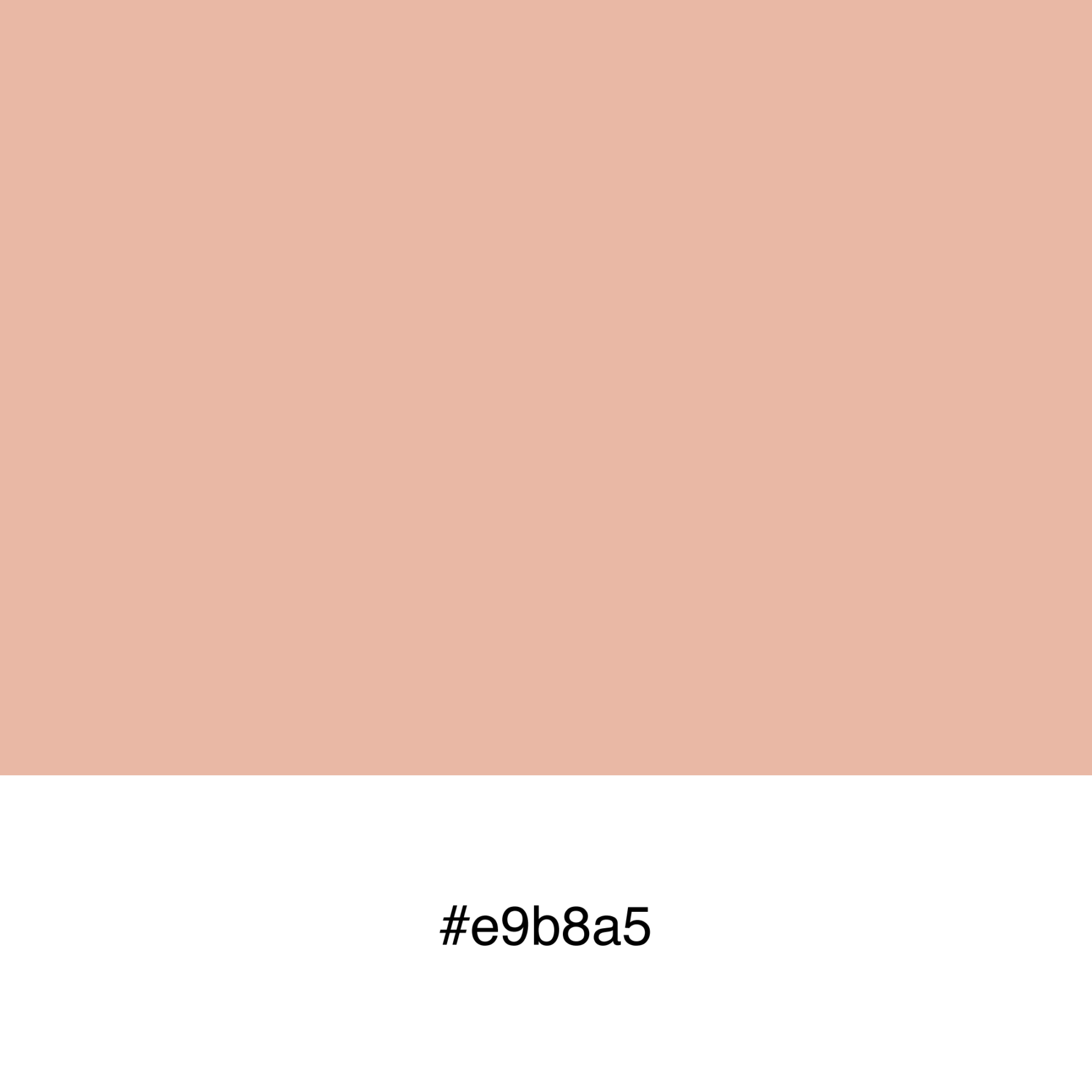 color-swatch-e9b8a5