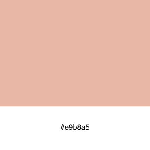 color-swatch-e9b8a5