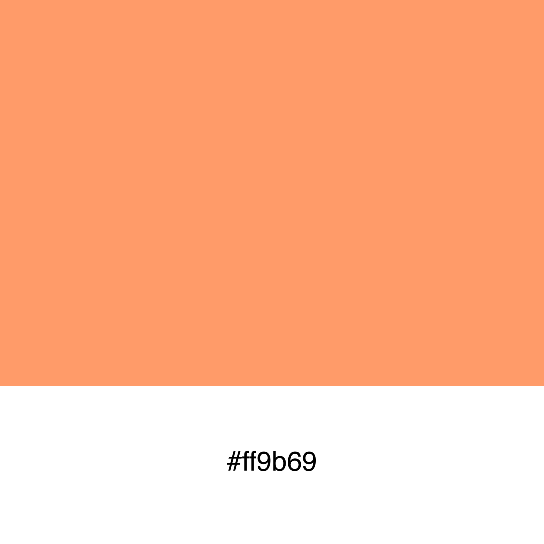 color-swatch-ff9b69