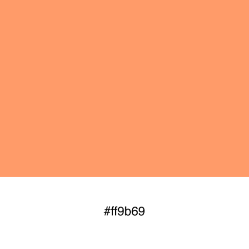 color-swatch-ff9b69