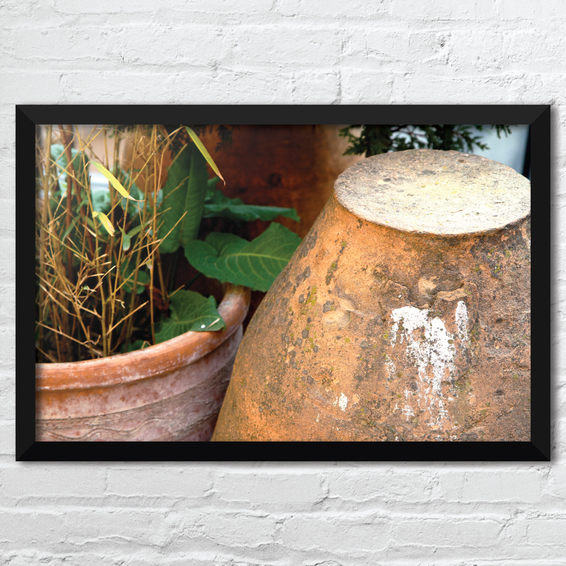 jason-b-graham-free-photo-cukurcuma-0329-framed