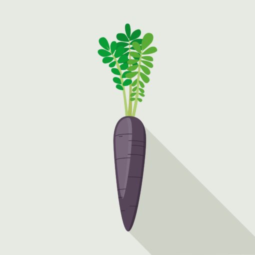 jason-b-graham-carrot-icon-564459-featured-image
