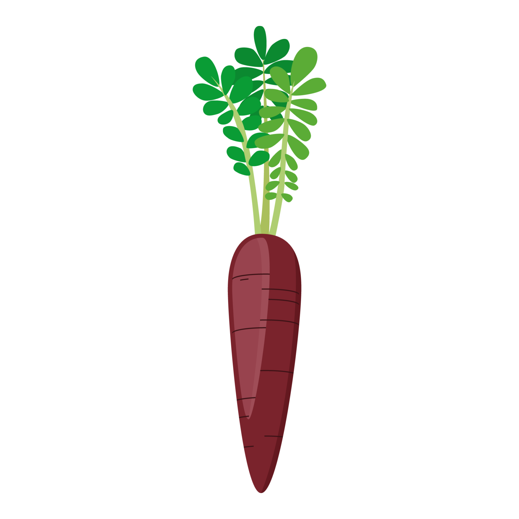 jason-b-graham-carrot-icon-7a232c