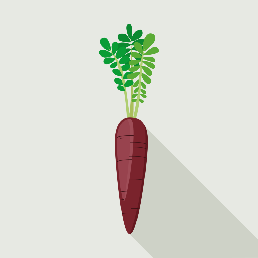 jason-b-graham-carrot-icon-7a232c-featured-image