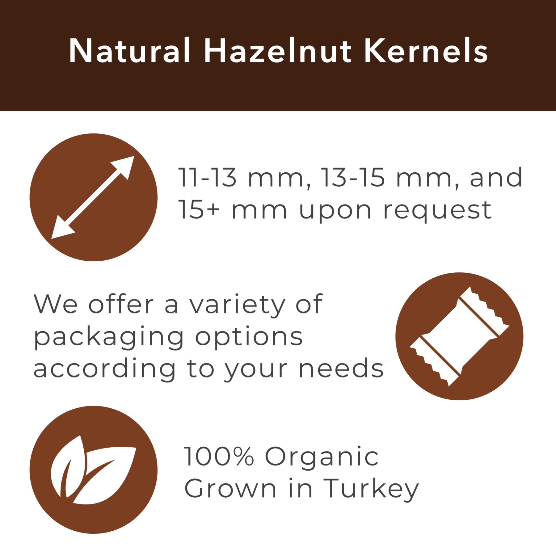 jason-b-graham-natural-hazelnut-kernals-67341b